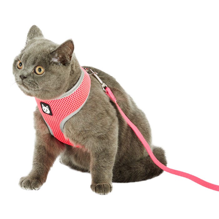 All Day Reflective Mesh Neon Cat Harness Set Pink Petbarn
