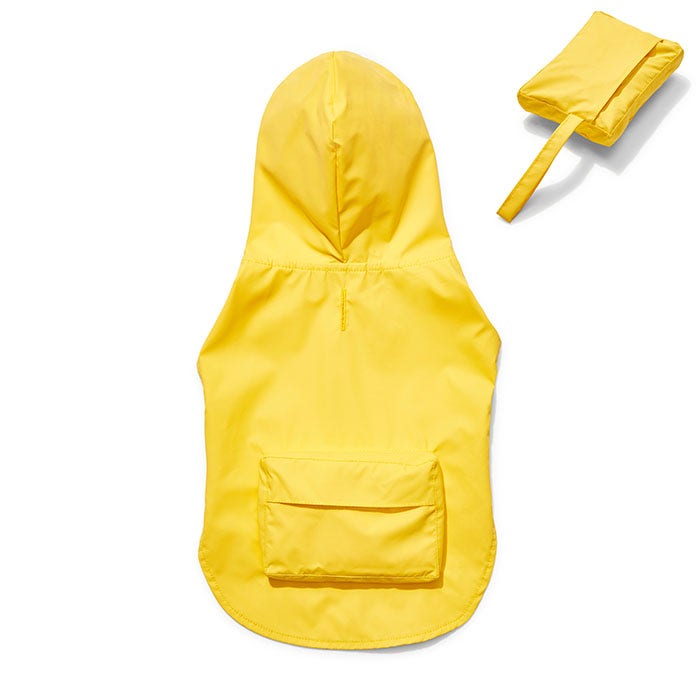 yellow jacket