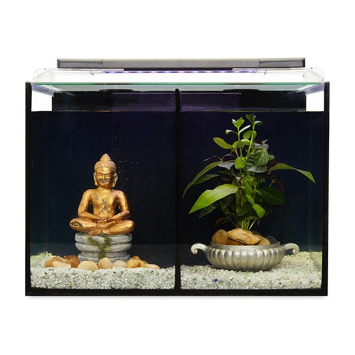 Terra Aqua Betta Design Aquarium Duo 18L 37x21x26cm