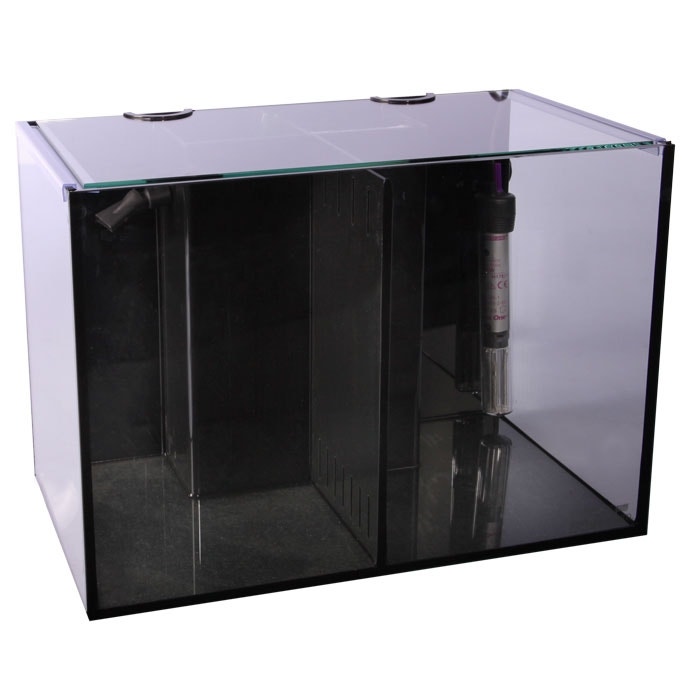 Betta fish sale tanks petbarn