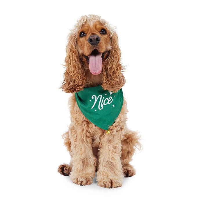 Dog bandanas petbarn store