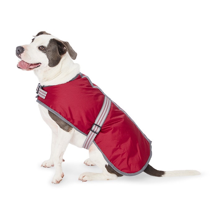 Shop Quality Dog Clothing Online Petbarn