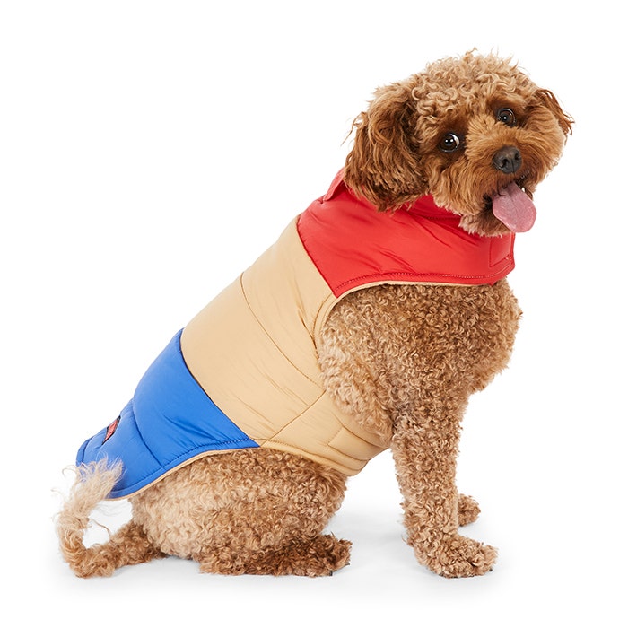 KONG Vintage Colour Block Dog Jacket Multi Coloured Petbarn
