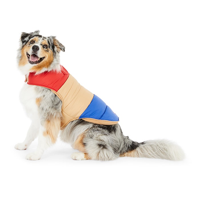 Petbarn dog coats deals