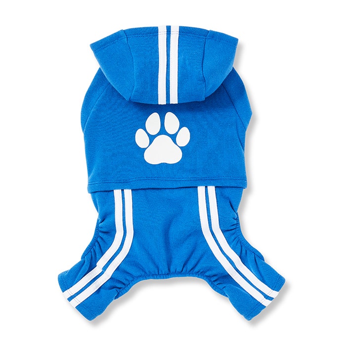 Puppy tracksuit online