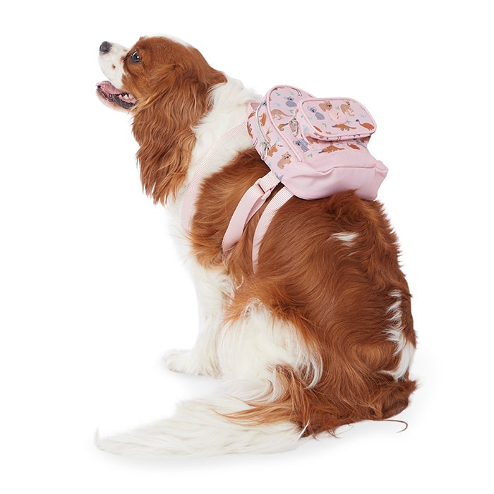 All Day Trail Mates Dog Backpack Pink Petbarn