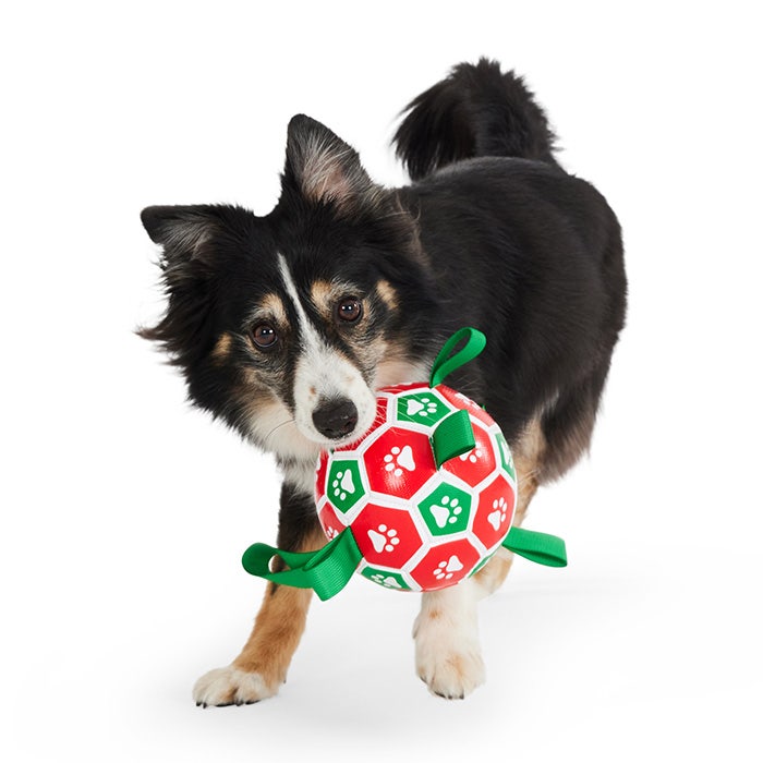 All Day Christmas Tagged Soccer Ball Dog Toy