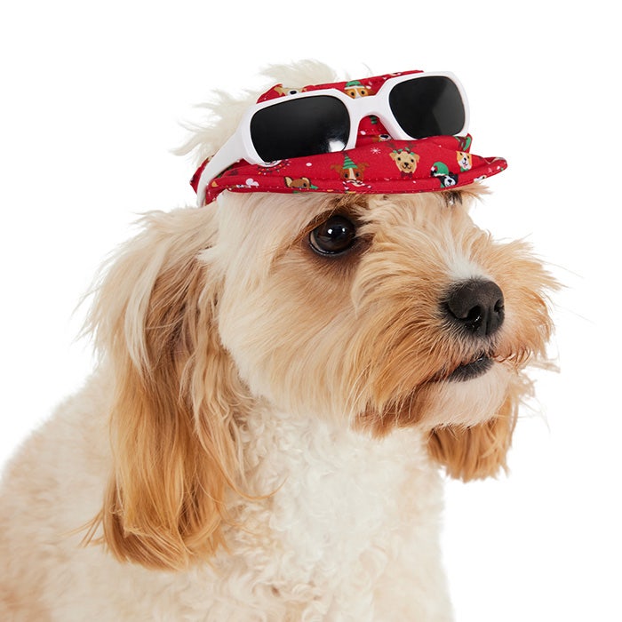 All Day Christmas Puppy Party Pet Visor Petbarn
