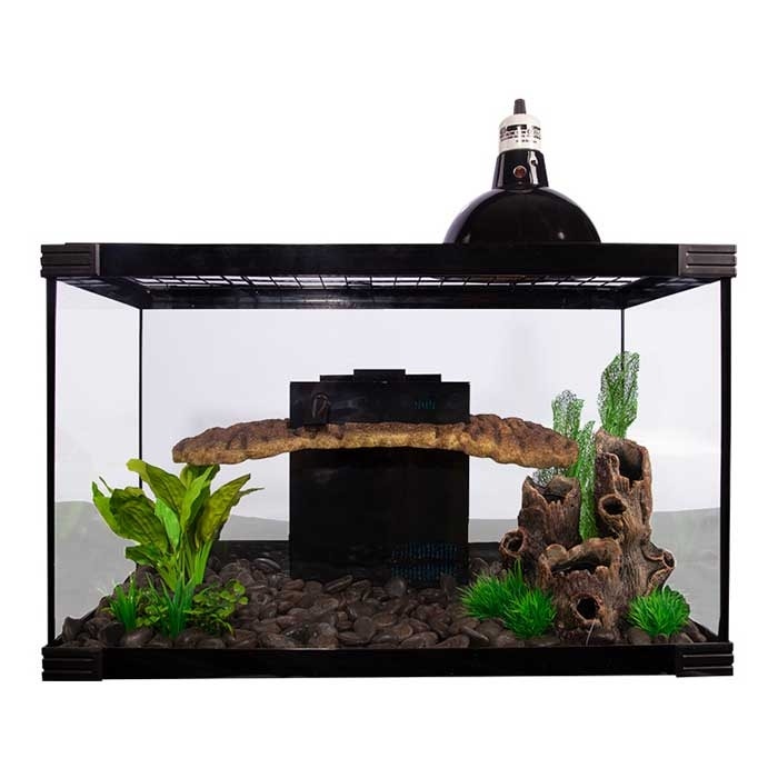 Turtle sale starter kit