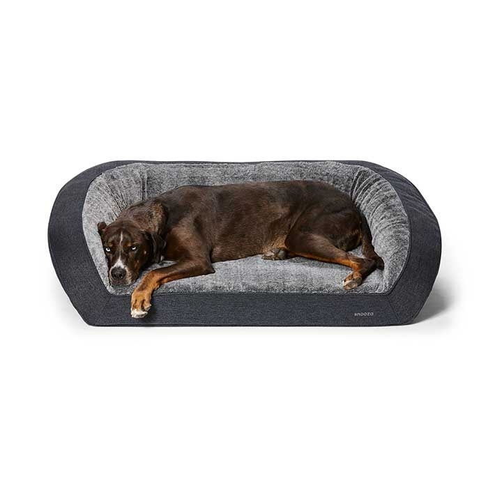 Pet barn sale dog bed
