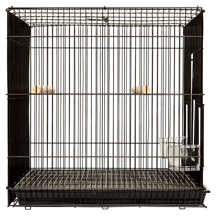 Petbarn mouse cheap cage