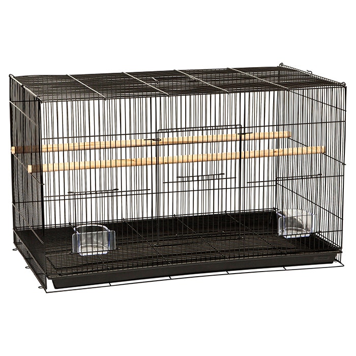 Bird cage near me top