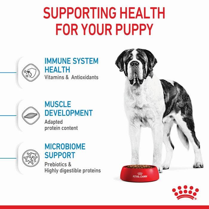 Royal Canin Giant Junior Dog Food 15kg Petbarn