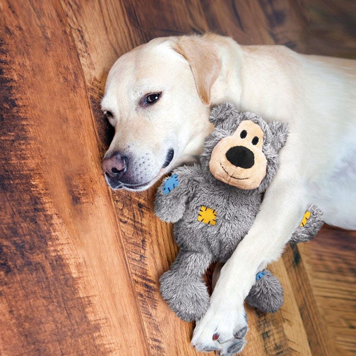 Teddy bear dog toy top