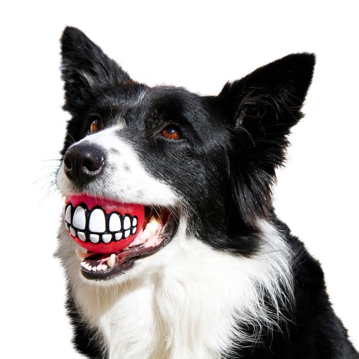 Dog ball with teeth clearance