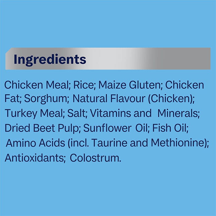 Advance kitten chicken & rice top