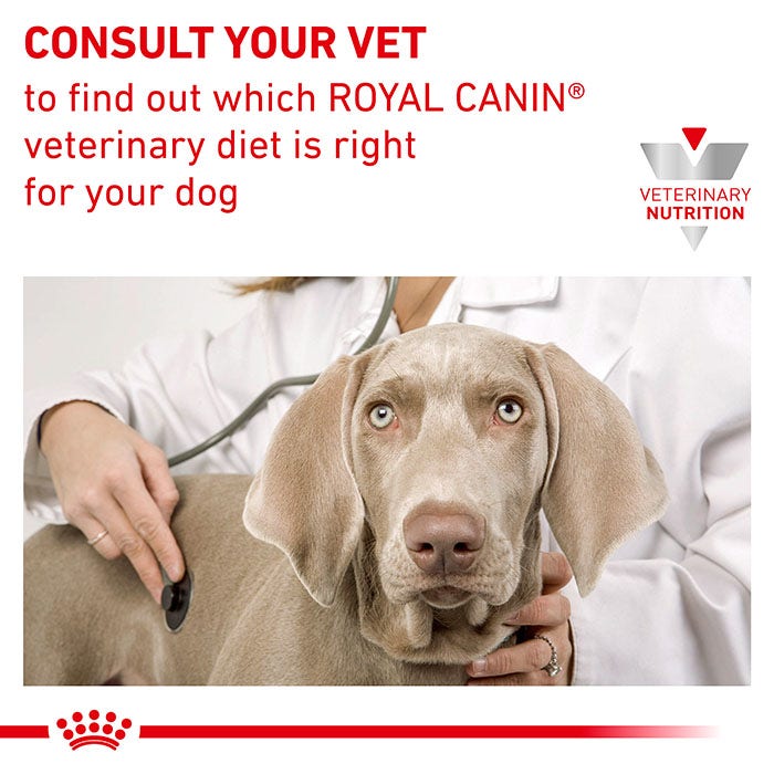 Royal canin c2p+ on sale