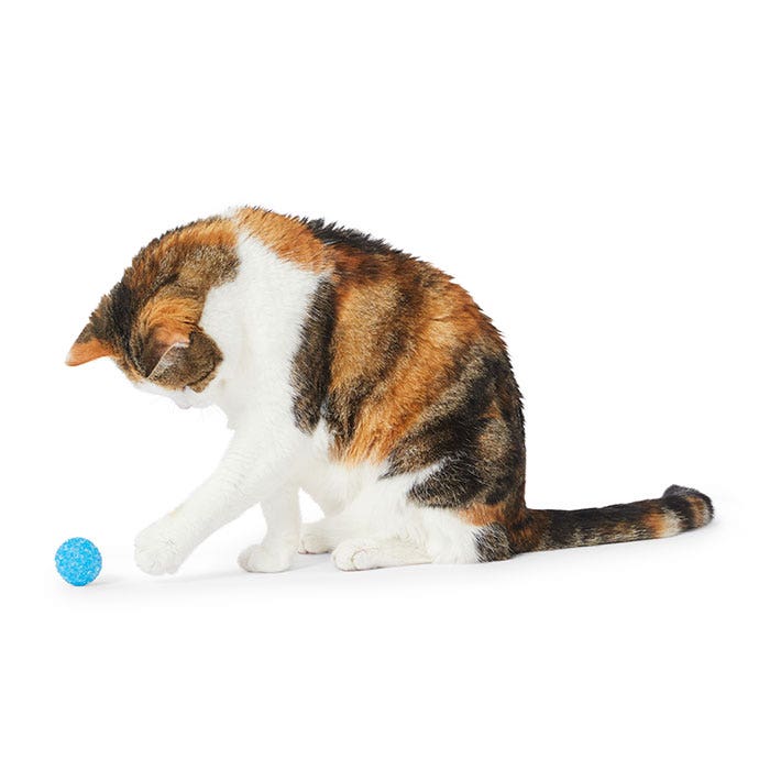 Petbarn cat toys cheap