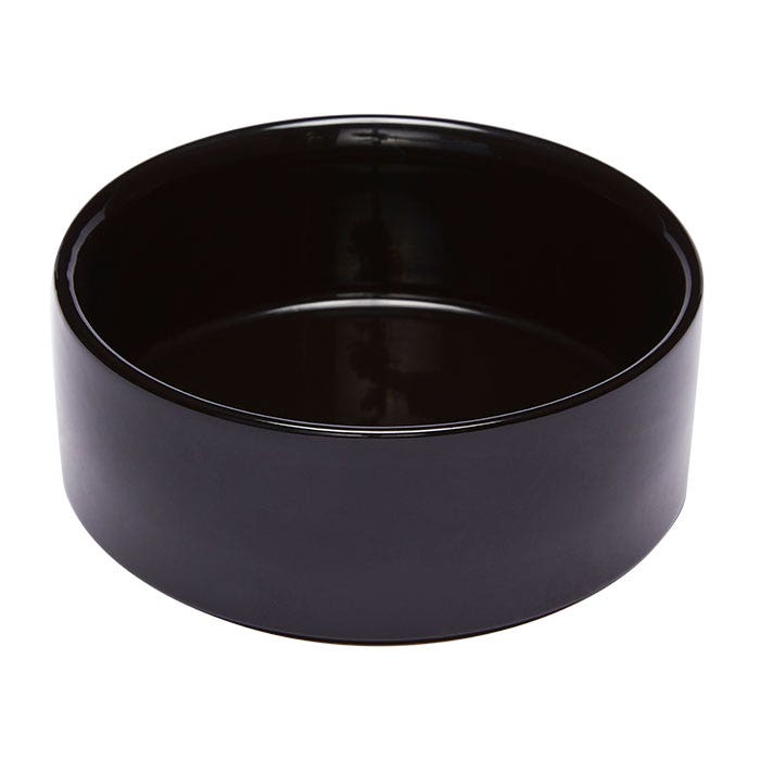 Harmony ceramic dog bowl shop