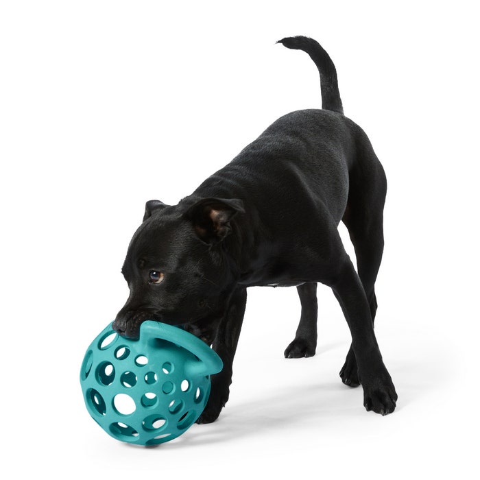 Large dog shop ball with handle