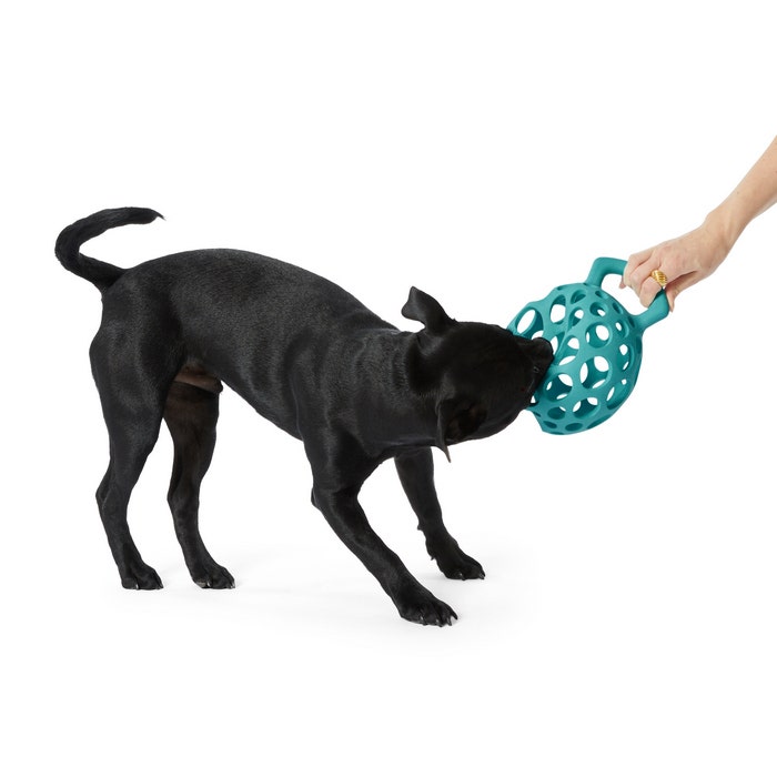 All Day Cage Ball With Handle Dog Toy Assorted L Petbarn