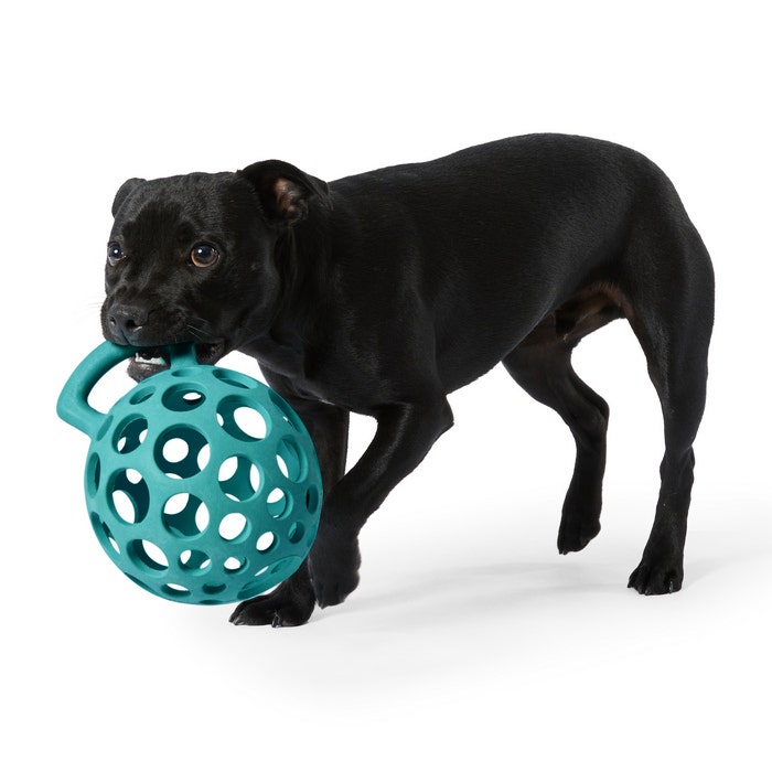 Indestructible dog best sale ball with handle