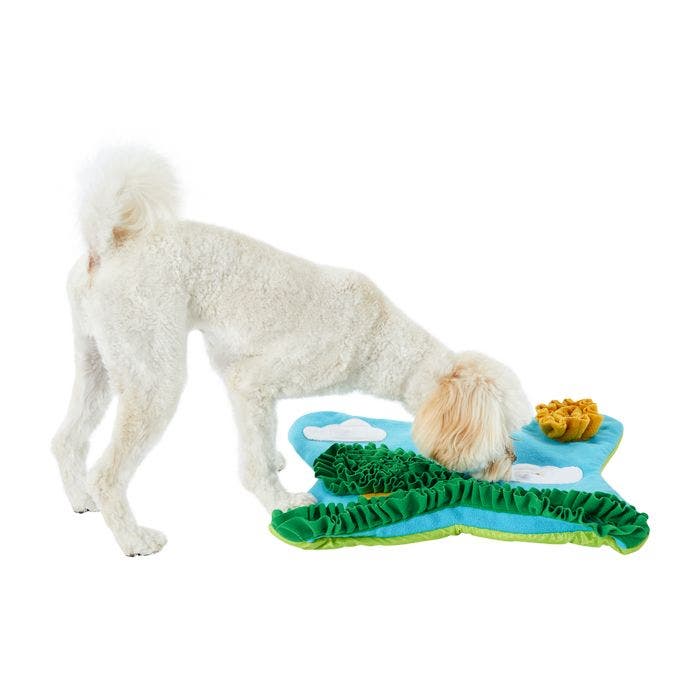 Snuffle outlet mat petbarn