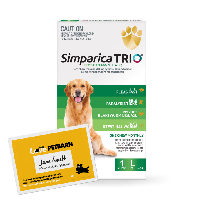 Simparica Trio Monthly Subscription 20.1 40kg Dog Flea Tick