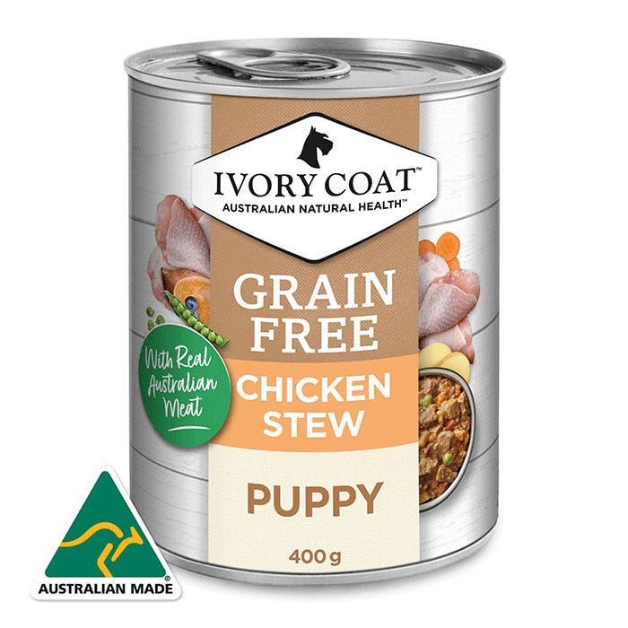 Ivory coat puppy outlet