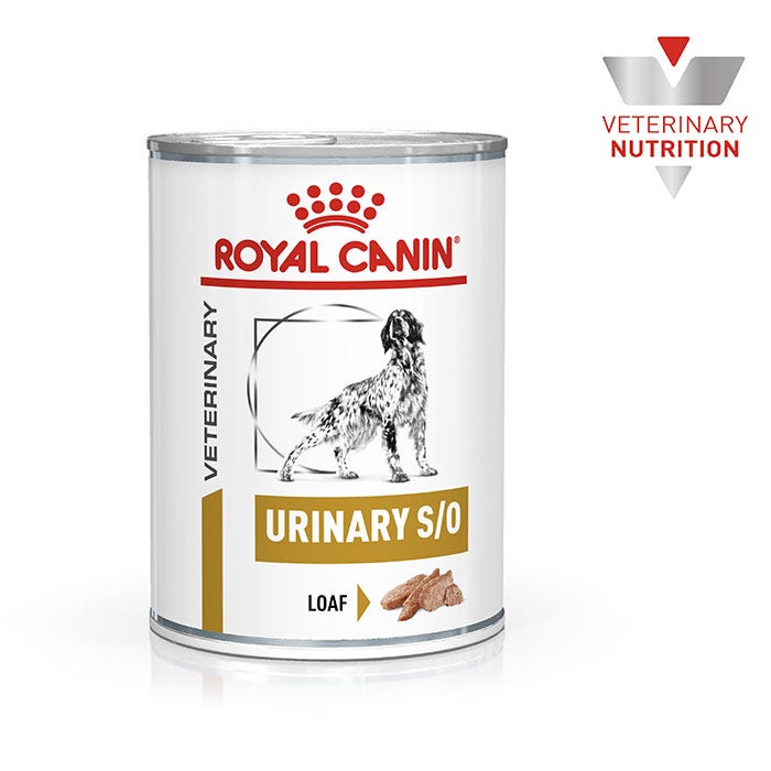 Royal canin gastrointestinal hotsell low fat petbarn