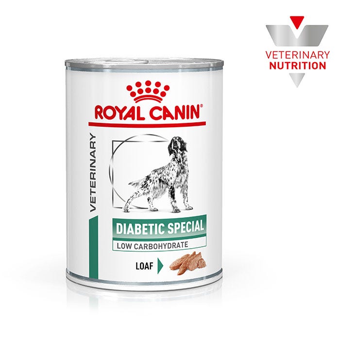 Best diet for diabetic dog online