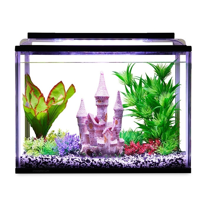 Petbarn fish discount prices
