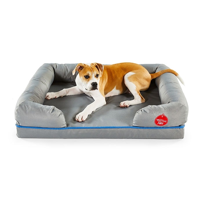 Basket best sale memory foam