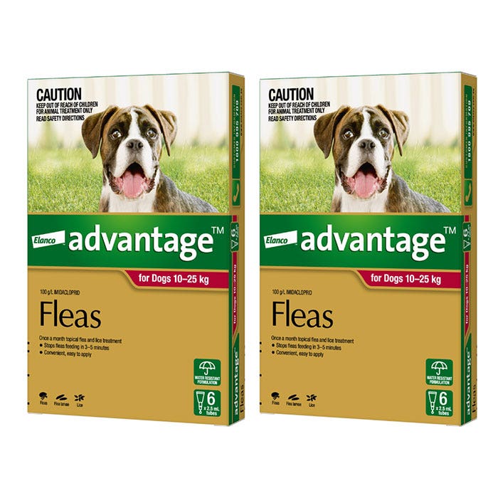 Puppies and fleas treatment store