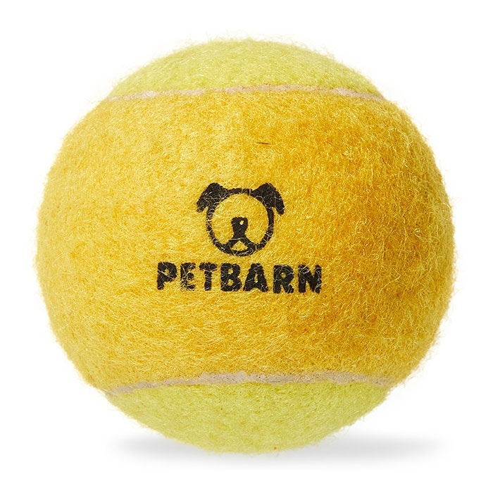 Petbarn Dog Toy Fetch Ball Petbarn Petbarn