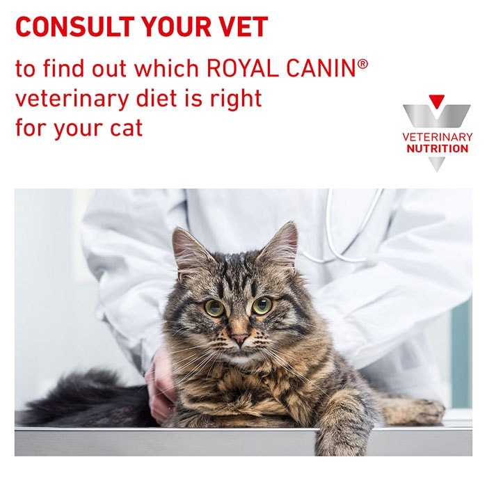 Cat satiety food hotsell