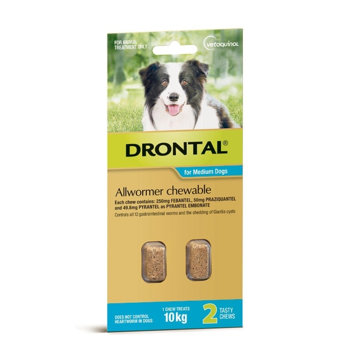 Drontal All Wormer Chewable For Medium Dogs Petbarn