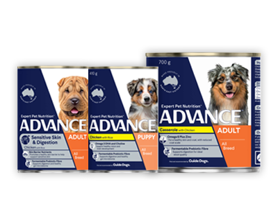 Advance weight best sale control small breed