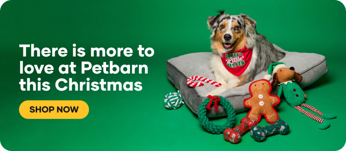 Christmas Offer