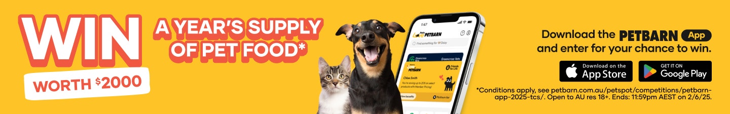 PetAI Tablet Banner