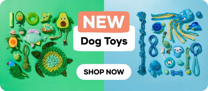 Winter Pet Clearance