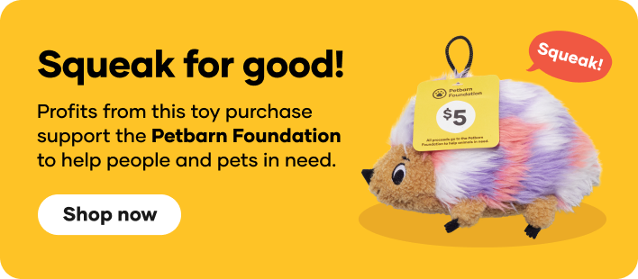 Petbarn Foundation Squeak Toy