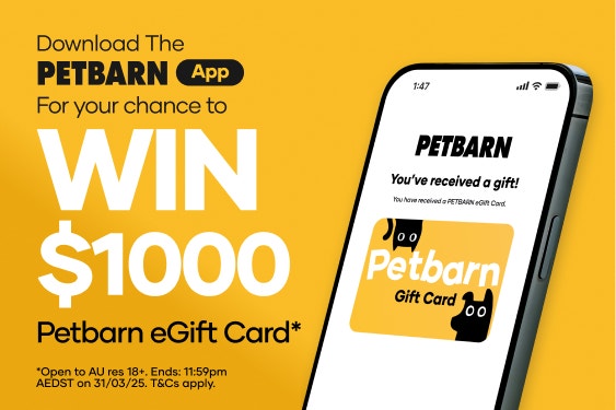 PetAI Mobile Banner