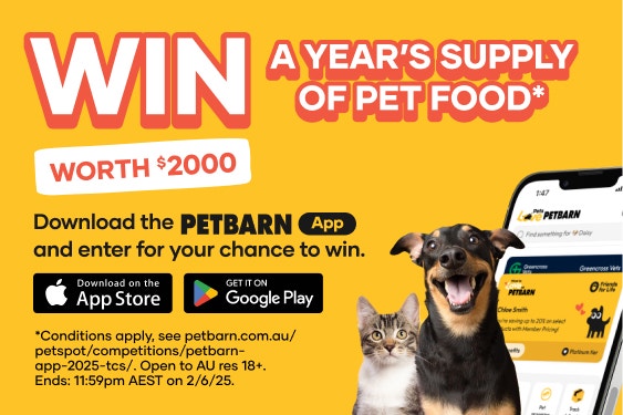 PetAI Mobile Banner