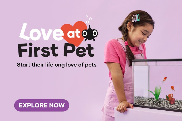 Pet Spectacular Mobile Banner