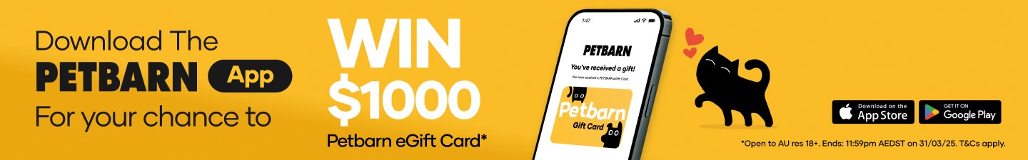 PetAI Tablet Banner
