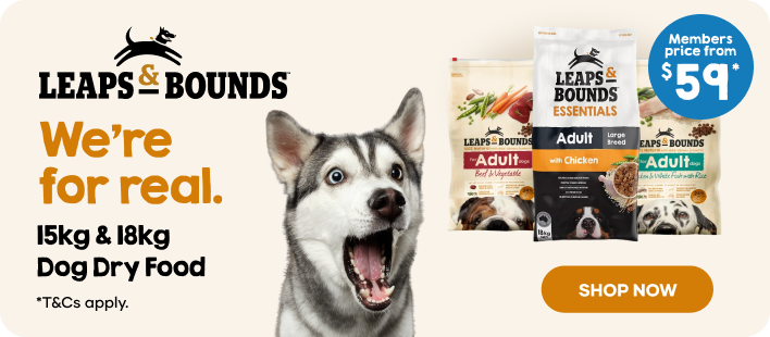 Pet Watch Offer