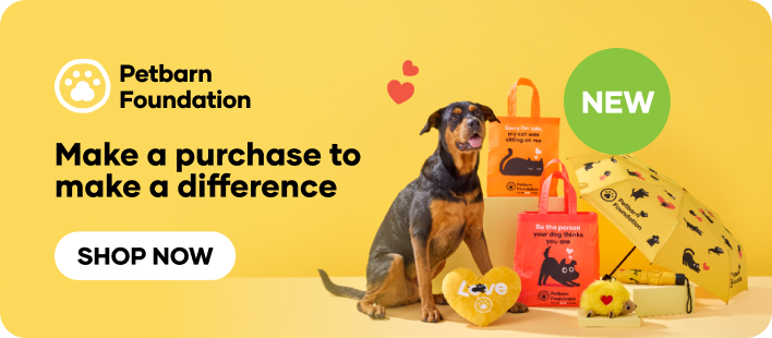 Petbarn Foundation Squeak Toy