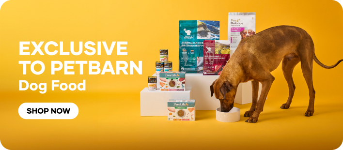 Petbarn Foundation Dog Adoption