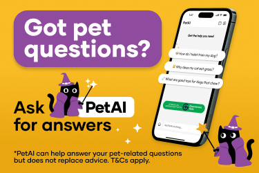 PetAI Mobile Banner